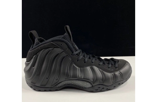 Nike Foamposite One Air 314996-001 Anthracite 1005